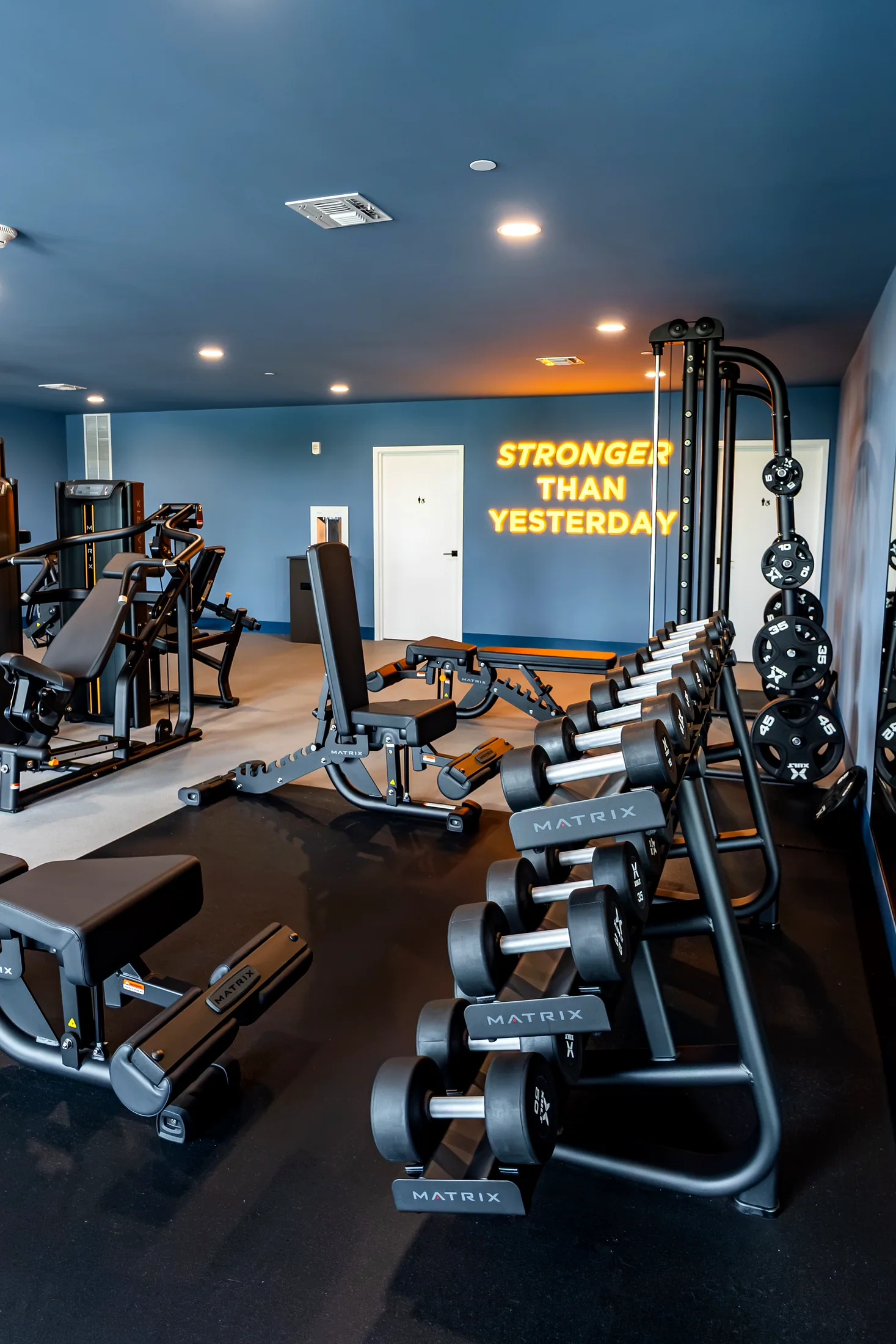 Dumbbell rack and strength equipment in the fitness center